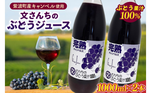 ＼自家農園育ちのぶどうを使った果汁100％ジュース／ 「文さんちの完熟ぶどうジュース 1000ml×2本 」(EH001)