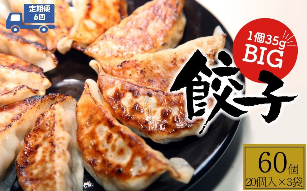
            【定期便6回】たじまやオリジナルビッグ 餃子 60個    | TAJIMAYA たじまや タジマヤ 大きい ビッグ BIG 餃子 売れ筋 大人気 好評 やみつき リピーター リピート ぎょうざ 旨み 旨味 ぱりっと もっちり ジューシー おかず 惣菜 中華 肉 肉汁 地場 野菜  たっぷり 焼 ごはん おつまみ 栃木県 真岡市 送料無料  
          