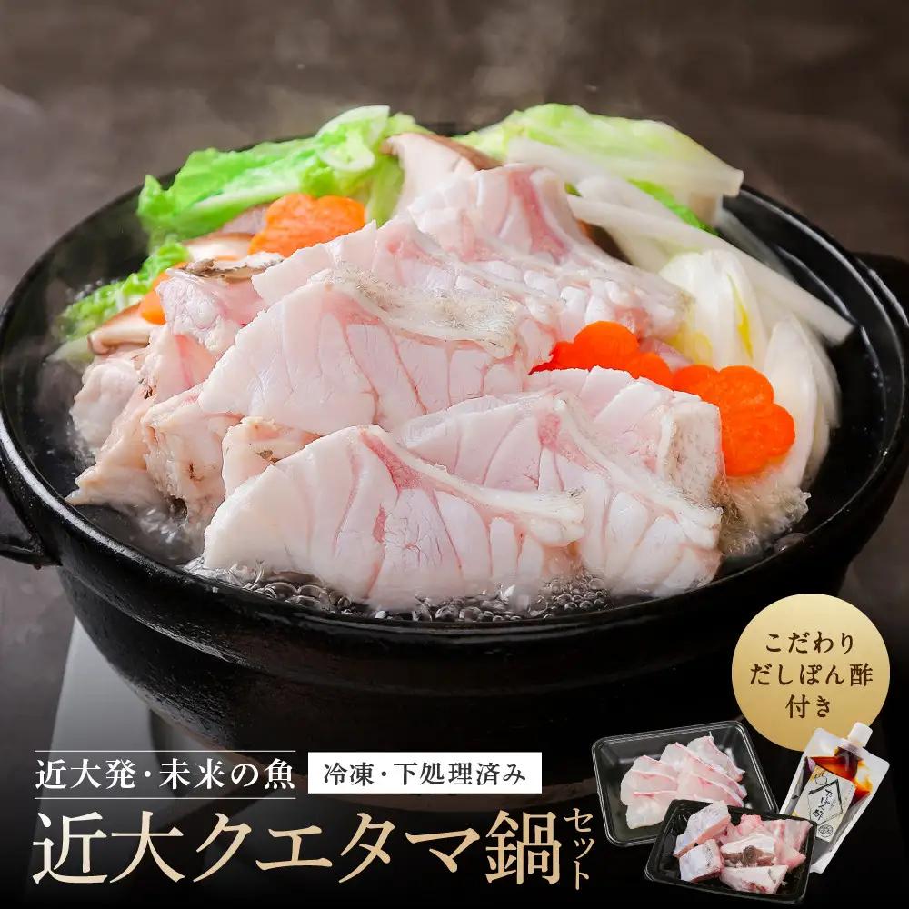 近大クエタマ鍋セット500g（2026年11月下旬～12月中旬発送）