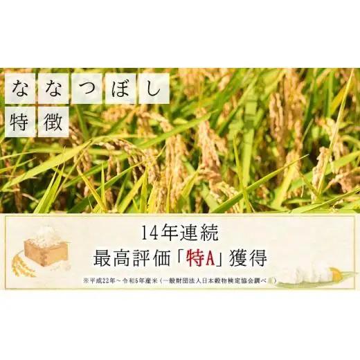 《令和 7 年産》お米 ななつぼし精米 10kg (10kg×1袋)｜米 精米 北海道 岩 見沢市 ファーム坂口の特別栽培米