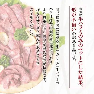 Z61-45 寄附額改定↓↓ 【訳あり】牛ハラミ肉2種(旨辛ダレ、ねぎ塩) 600g 牛肉