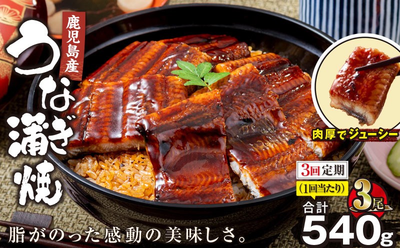 
                  【全3回定期便】鹿児島産うなぎ蒲焼 180g×3尾 清らかな地下水育ち！　KN021-T37
                