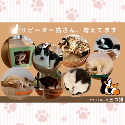 ふるさと納税 山形市 猫爪とぎセット(猫爪とぎ・猫トンネル・猫ハウス・カーゴサック) M-02 FY25-195 |  | 02