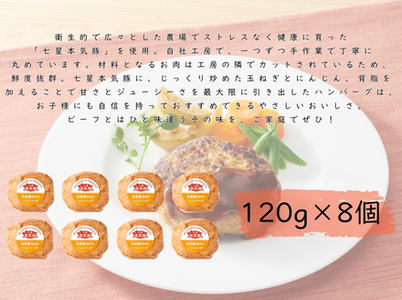 本気豚使用 ハンバーグ８個入