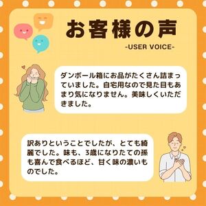 先行受付 訳あり 不知火 3kg 【発送期間：2月中旬～なくなり次第終了 】 しらぬい かんきつ 柑橘 みかん 蜜柑 でこぽん おやつ きず 傷 ふぞろい 不揃いフルーツ 果物 くだもの 果実 愛媛県