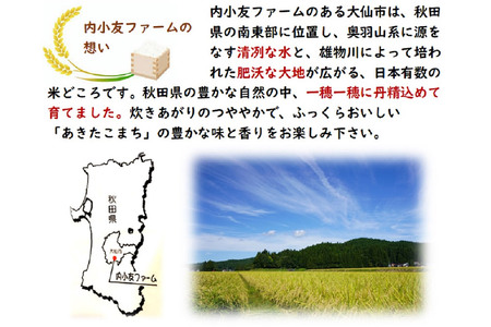米 令和7年産 秋田県産あきたこまち 一等米 農家直送 玄米30kg 内小友ファーム