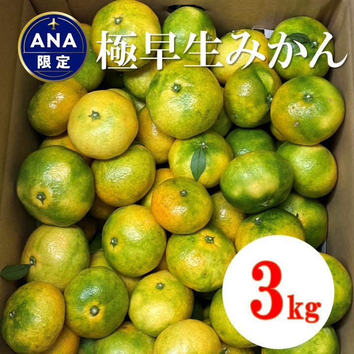 極早生みかん 3kg ご家庭用 農園直送 先行予約 【10月上旬から順次発送予定】 愛媛 数量限定 愛媛県産 人気 柑橘 伊予市｜ A98