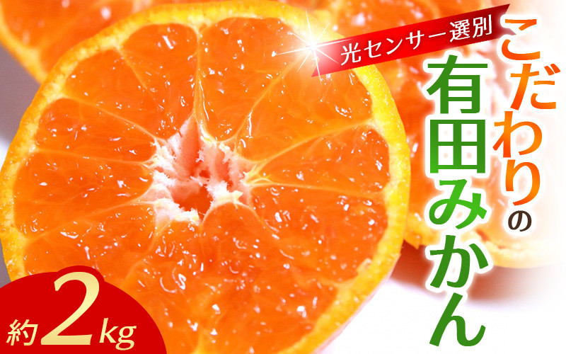 
            早期先行予約！ 【配送時期が選べる】 こだわりの有田みかん 約2kg＋250g(傷み補償分) 【ご家庭用】【11月･12月･1月から選択可】 光センサー選別品 農家直送品 ※北海道・沖縄・離島配送不可 / みかん 有田みかん 温州みかん 柑橘 果物 くだもの フルーツ 有田 和歌山 和歌山県産 産地直送 【nuk159C】
          