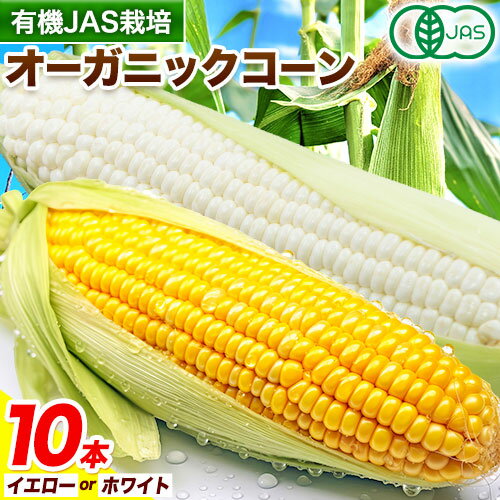 【ふるさと納税】有機JAS栽培 とうもろこし オーガニック コーン ホワイトコーン 10本 伊場ファーム《2026年8月中旬-9月中旬頃出荷》北海道 十勝 浦幌町 朝もぎたて とうもろこし スイートコーン 有機 新鮮 甘い 希少 送料無料