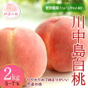 【ふるさと納税】2025年出荷分 先行予約福島県産 川中島白桃 2kg 2025年8月中旬〜2025年8月下旬発送 先行予約 予約 白桃 大玉 伊達の桃 桃 もも モモ 果物 くだもの フルーツ 国産 食品 F20C-605