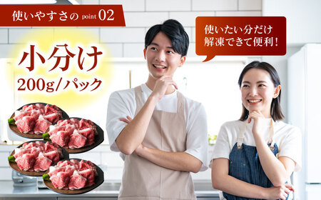 【全6回定期便】佐賀牛 切り落とし200g×5パック HAA081 切り落とし 国産 和牛 牛肉