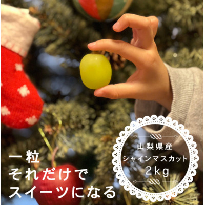 
            ＜年内発送＞冬に食べられる シャインマスカット 4房 (計2kg以上) 山梨産【1560608】
          
