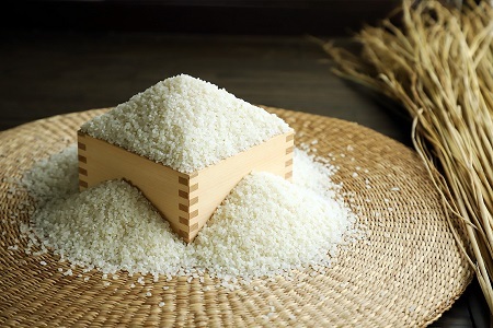 《 先行予約 》 きぬひかり 京丹波町産 5kg 令和8年産米 精米 お米 京都 丹波 キヌヒカリ 特A獲得 産地直送 ※北海道・沖縄・その他離島は配送不可 [012OK001]