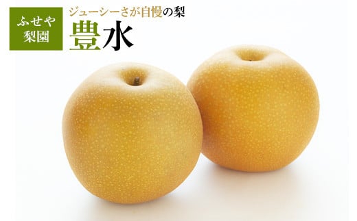 
            豊水 5kg 【ふせや梨園】| 農家直送 梨 ナシ 果物 フルーツ 宇都宮市 栃木県 ※2025年9月中旬頃より順次発送予定
          