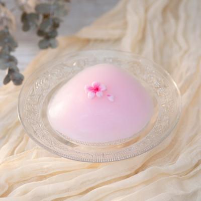 ふるさと納税 朝霞市 人工乳房 さくらパッド・Mサイズ
