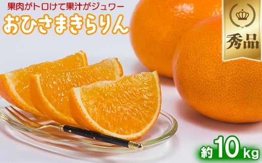 
            今村農園のおひさまきらりん 約10kg【秀品】  甘い オレンジ みかん ミカン 清美 10kg 12月発送 1月発送 先行予約 贈答 柑橘類 フルーツ ＜107-026_7＞
          