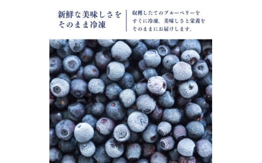 【毎月定期便】冷凍ブルーベリー1kg(500g×2パック)全3回【4092938】
