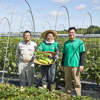 ふるさと納税 亀岡市 【6月〜9月中旬発送】夏の厳選 京漬物 詰合せ |  | 02