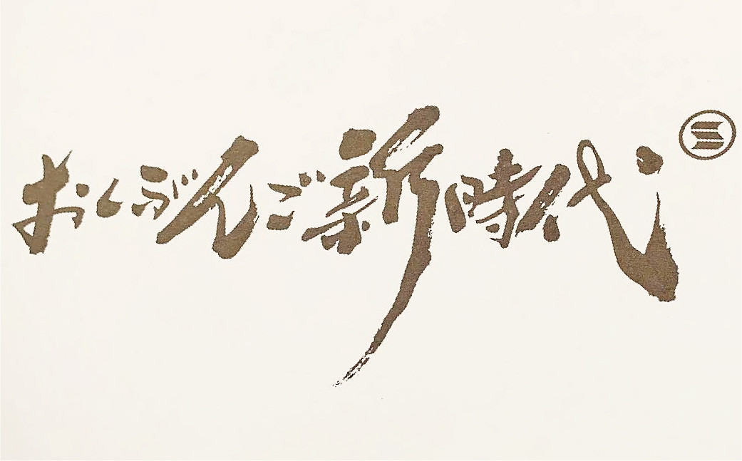 おくぶんご 新時代 惣菜 まんじゅう 詰め合わせ 計10個（5種×2個）