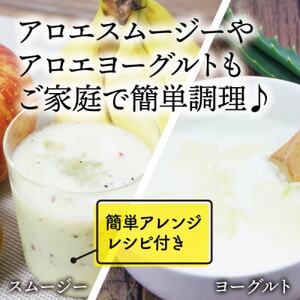 【食用】朝採り アロエベラ生葉 5kg(5枚～10枚)3年物  宮城県産_野菜   _【1461384】