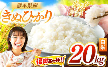 令和7年産 きぬひかり 20kg | お米 米 こめ おこめ 精米 キヌヒカリ 20キロ 国産 国産米 くまもと 熊本 熊本県 玉名市 玉名