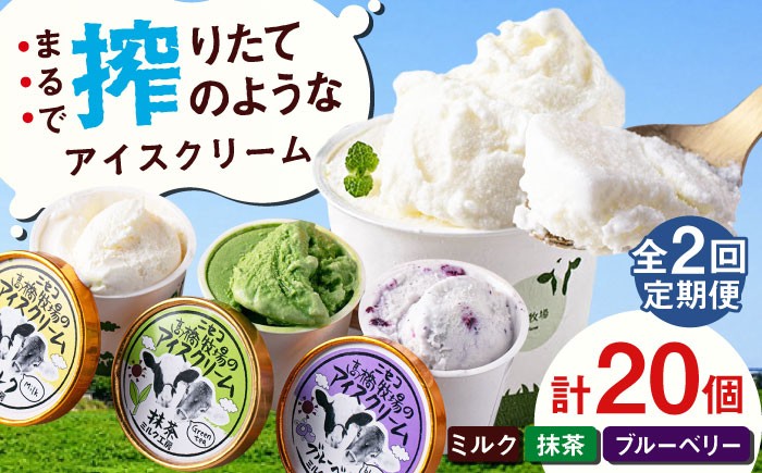 
            【全2回定期便】ミルク工房 カップアイスセット（130ml×20個）《喜茂別町》【ニセコリゾート観光協会】 アイス アイスクリーム ジェラート ミルク 抹茶 ブルーベリー 詰め合わせ 冷凍配送 北海道 [AJAI059] 40000 40000円 4万円
          