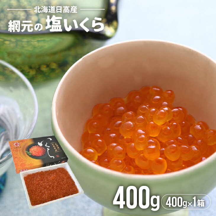 【ふるさと納税】【めしの素(秋鮭)付】網元の塩いくら(400gx1箱)[01-016] 北海道 浦河 日高産 ふるさと納税 いくら 塩いくら めしの素 炊き込みご飯の素 秋鮭 送料無料
