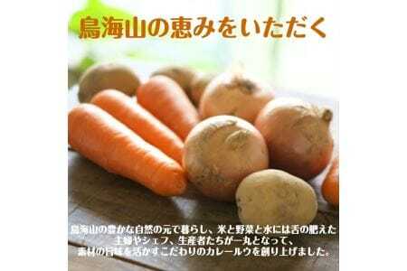 鳥海山カレールウ食べ比べセット [1428]