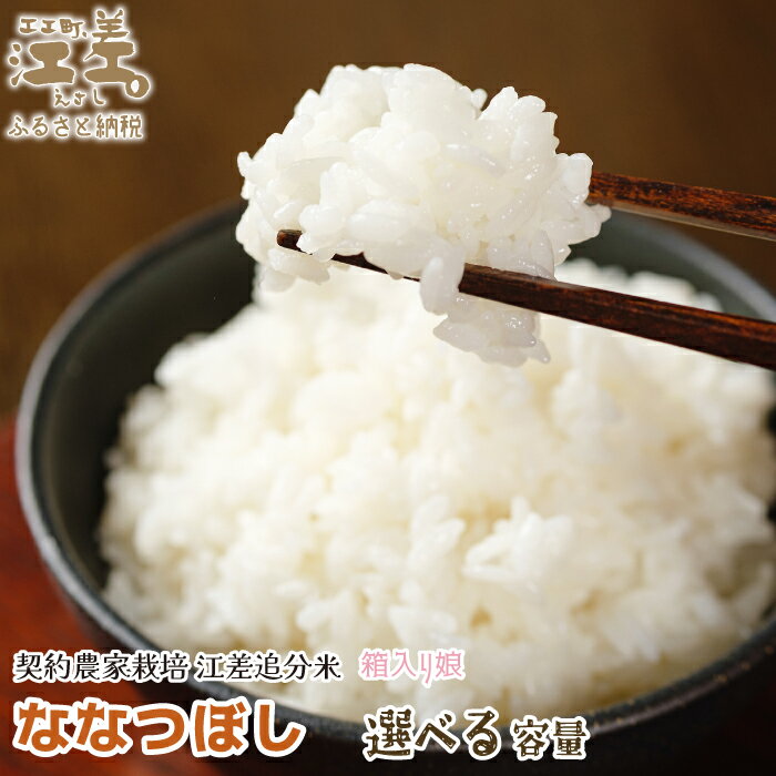 【ふるさと納税】【新米先行予約】契約農家栽培 江差追分米『ななつぼし』［選べる容量］令和7年産　2025年産　北海道江差町産　北海道米　白米　精米　お米　おこめ　こめ　ご飯　ごはん　農家直送　単一原料米　ブランド米　　甘みと粘りの調和