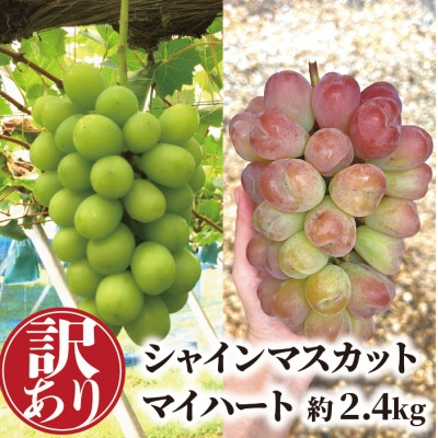 
            ＜きよとうファーム＞＜訳あり品ご家庭用＞シャインマスカット&マイハート 約2.4kg (岡山県産)【1644766】
          