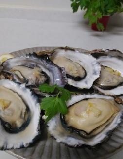 冷凍 殻付 牡蠣 10kg｜広島県産カキ かき  一年中旬の味 宮島 瀬戸 [1378]