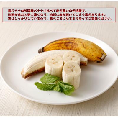 ふるさと納税 天城町 【鹿児島県天城町】【2026年発送】徳之島 子宝バナナ 1.5kg 島バナナ バナナ AL-6-N |  | 02