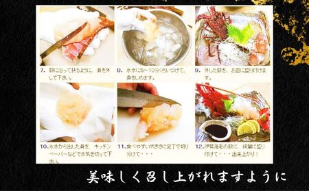 【8月上旬～9月下旬発送】【漁師直送／生】 伊勢海老 （３kg／６〜１５尾） 海老 海老 海老 海老 海老 仲野水産