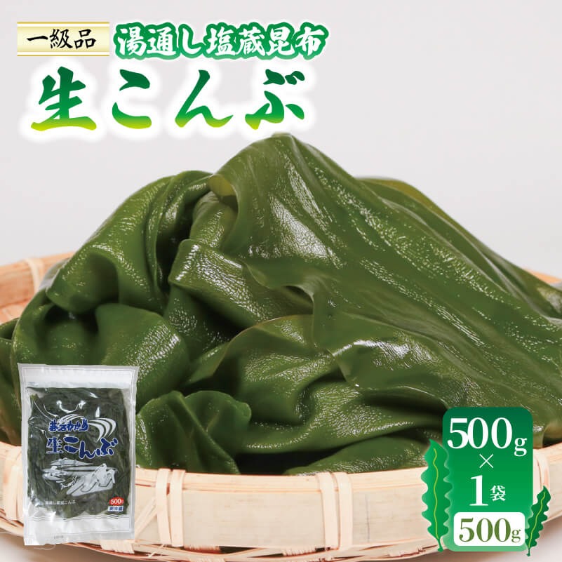 【10月～5月発送】 生こんぶ 500g×1袋 こんぶ 昆布 コンブ 三陸 国産 岩手県 大船渡 [honda012]
