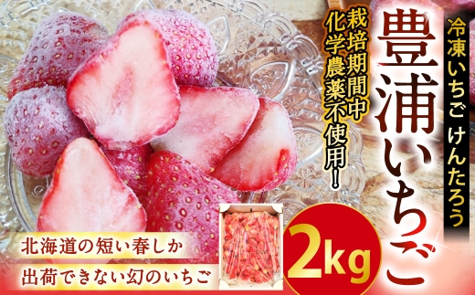 【2026年4月下旬以降順次発送】豊浦いちご  冷凍いちご 2kg