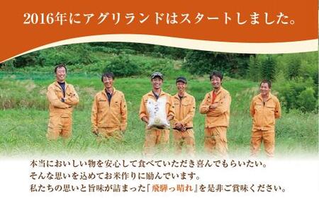 【定期便】こしひかり飛騨っ晴れ 玄米 5kg 6回 お届け 生産者直送 お米 コシヒカリ 飛騨産 飛騨高山 アグリランド JF104