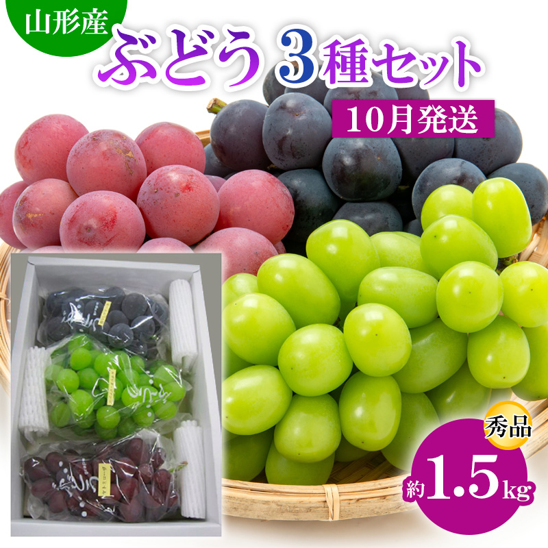 山形市産 ぶどう3種セット 秀 約1.5kg[10月発送] 【令和8年産先行予約】FS24-812