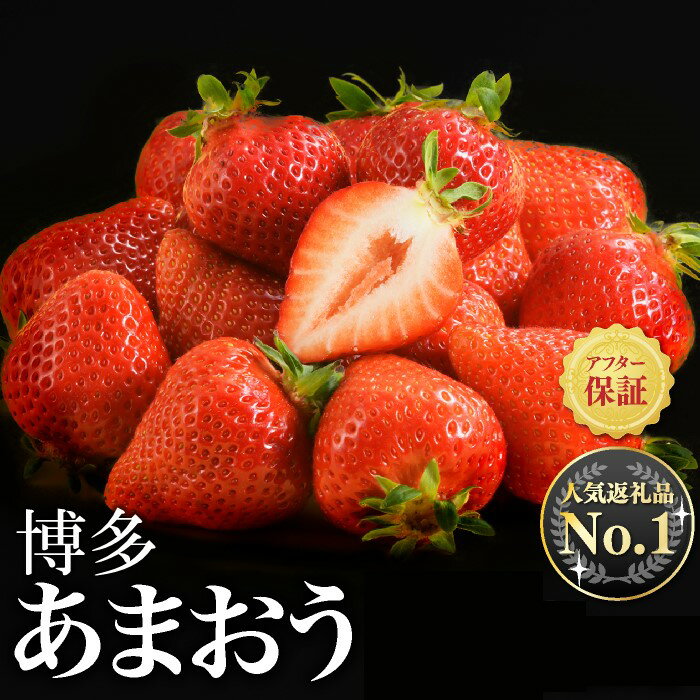 人気No.1獲得謝礼品★限定品★博多あまおう約1120g 先行受付