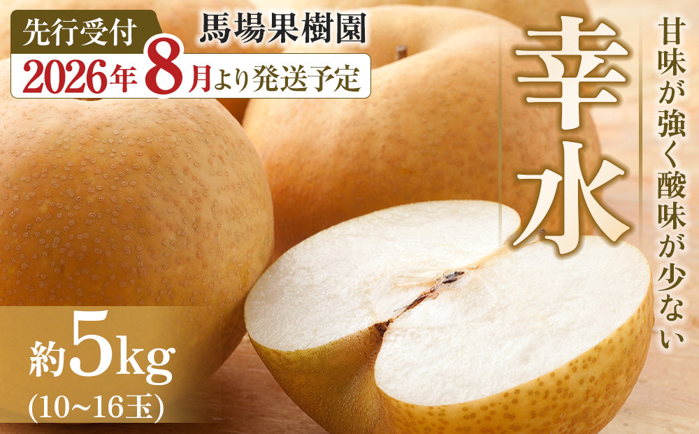 【2026年先行予約／馬場果樹園】梨「幸水」約5kg（10～16玉入）8月中旬～順次発送