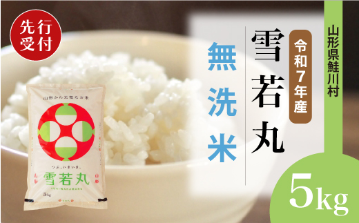 ＜令和7年産米先行受付＞ 令和8年7月上旬発送　雪若丸 【無洗米】 5kg （5kg×1袋） 鮭川村