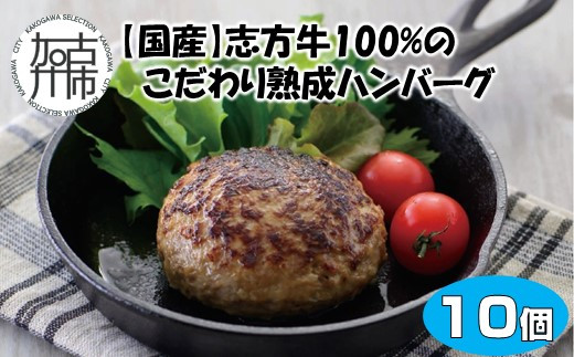 
【国産】志方牛100%のこだわり熟成ハンバーグ150g×10個《 ハンバーグ 国産 牛肉 100% 牛 こだわり セット 冷凍 肉 惣菜 お取り寄せ グルメ おかず ギフト 送料無料 》【2402I05943】
