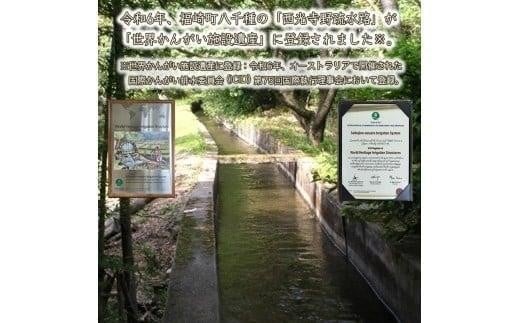 【 玄米 新米 】令和7年度産　ヒノヒカリ 八千種米　お米 5kg　ごはん　兵庫県産　世界かんがい施設遺産登録『西光寺野疏水路』