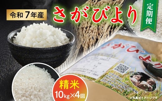 令和７年産 さがびより 精米 定期便 10kg×4回【数量限定】 _f-93