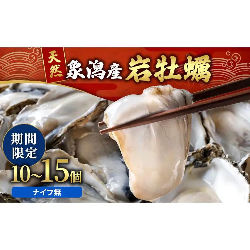 【先行予約】天然岩牡蠣 10～15個 生食可 象潟産 ナイフ無