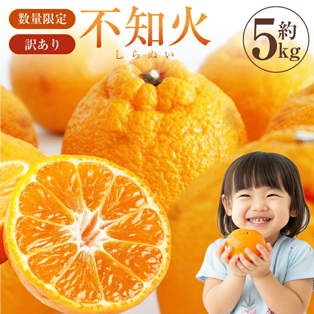 【ふるさと納税】【先行受付】【数量限定】【訳あり】不知火 約5kg 訳あり フルーツ くだもの 果物 果実 柑橘 しらぬい 国産 上天草市産 熊本県 上天草市 送料無料 【2026年2月下旬から3月下旬順次発送】