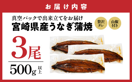 【父の日】宮崎県育ちのうなぎ蒲焼3尾500g以上≪山椒・たれ付≫≪6月18日～21日お届け≫_AC-M301-FG_(都城市) うなぎ蒲焼(有頭) 宮崎県産 真空 山椒・たれ付 父の日 ギフト