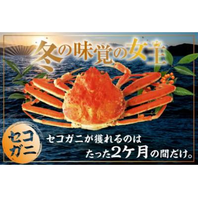 ふるさと納税 香美町 訳あり 釜茹でセコガニ5枚(小)(冷凍) |  | 01