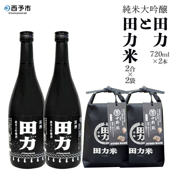 【ふるさと納税】＜純米大吟醸 田力（750ml×2本）と田力米（2合×2袋）セット＞※1か月以内に順次出荷します。日本酒 お米 酒米 松山三井 にこまる ゆうだい21 特産品 晩酌 お祝い 内祝い 家飲み 宅飲み 中辛口 元見屋酒店 愛媛県 西予市【冷蔵】