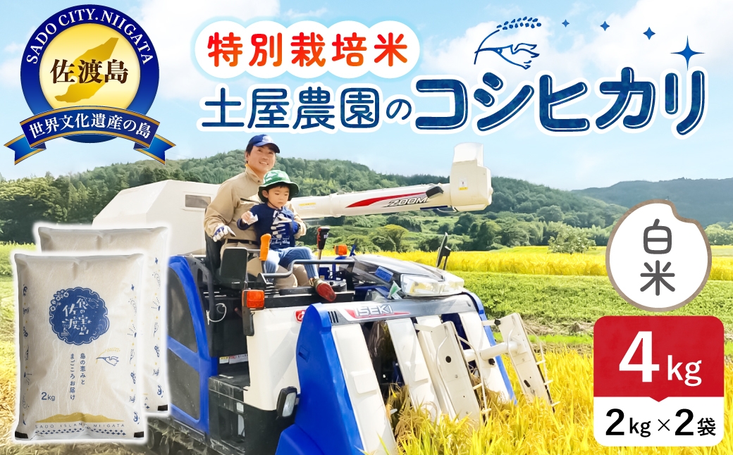 
                  佐渡島産コシヒカリ 白米 4kg 令和8年産 特別栽培米 土屋農園 | 新潟県産コシヒカリ 新潟産コシヒカリ 佐渡産コシヒカリ 新潟県産こしひかり 佐渡産こしひかり お米 米 こしひかり 白米 精米 おこめ コメ 4キロ にいがた さど 新潟県 佐渡市 195962-031202
                