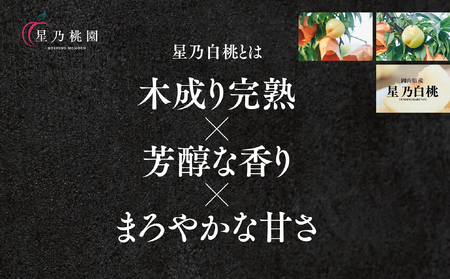 【星乃白桃】岡山県産 三つ星 セレクト白桃 1.2kg (4～5玉)【配送不可地域：離島】【1614276】